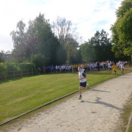 2016 scholenveldloop  158 - Sportraad Zaventem 